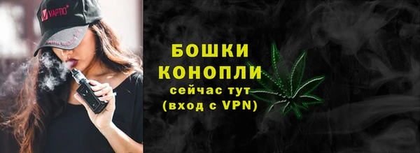 стаф Каменск-Шахтинский