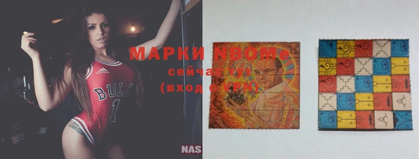 стаф Каменск-Шахтинский