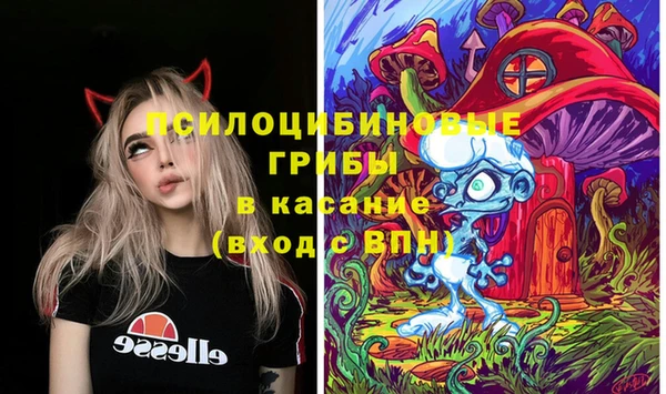 стаф Каменск-Шахтинский